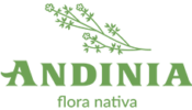 Andinia-logo verde